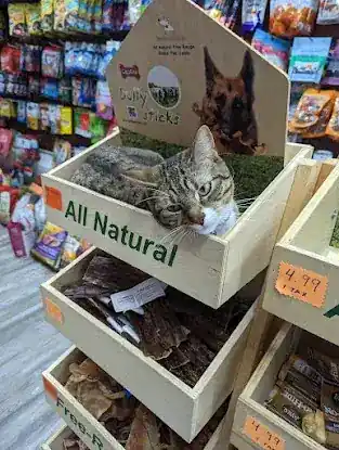 Pet Centro