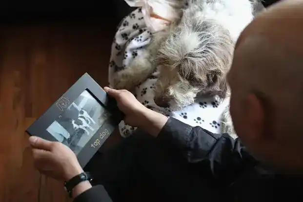 Pet Requiem LLC - Compassionate Pet Euthanasia at home