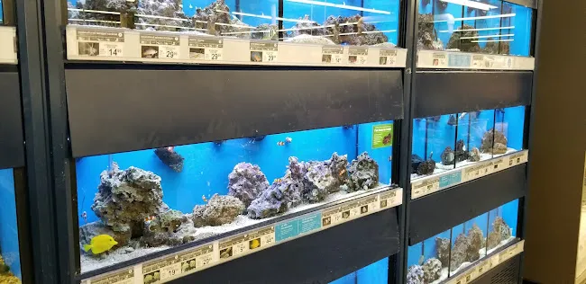 Petco