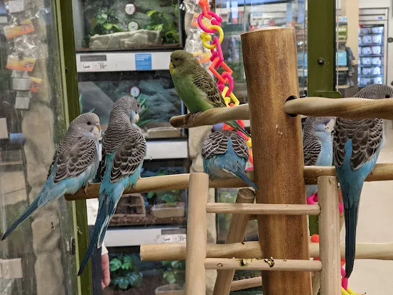 Petco
