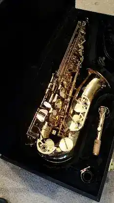 Peter Bannon Orchestral Repair