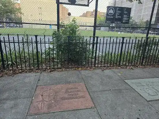 Peter's Field