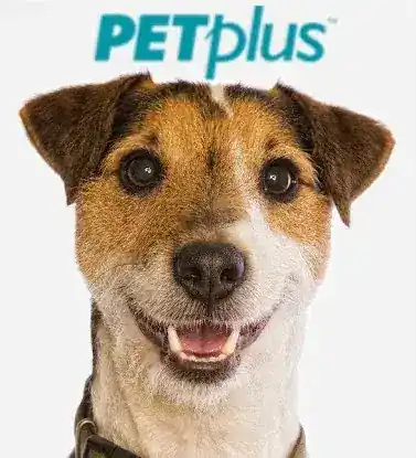 PetPlus