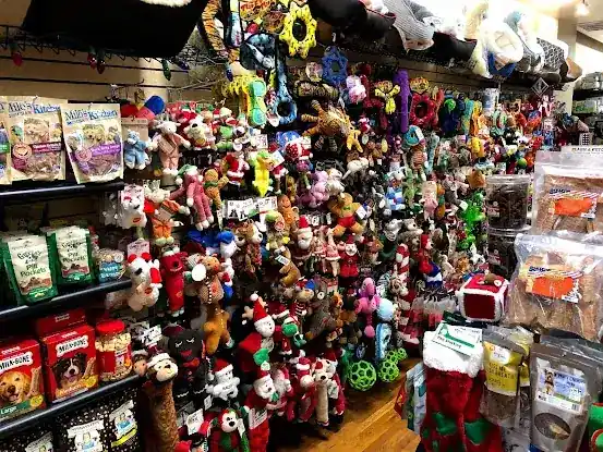 Pets Boutique