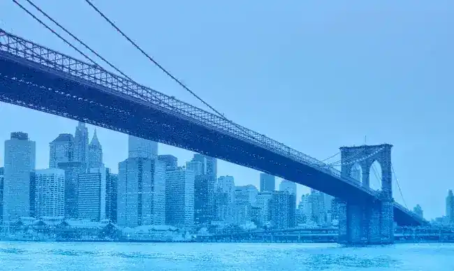 Petsky Prunier LLC