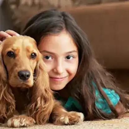 PetsToRemember Pet Cremation NY