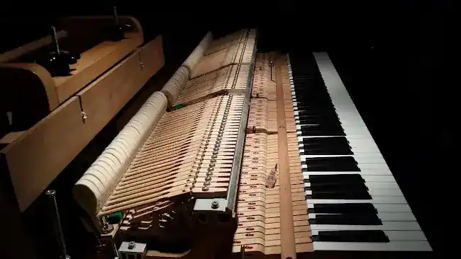 Piano Tuner / Technician, Don Burke
