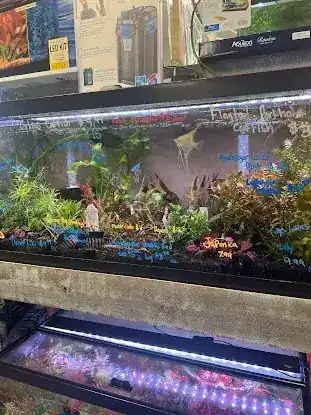 PicKFish Pets
