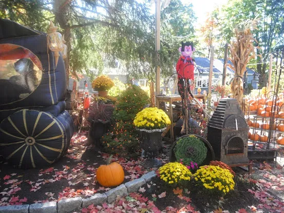 Pinesbridge Nursery