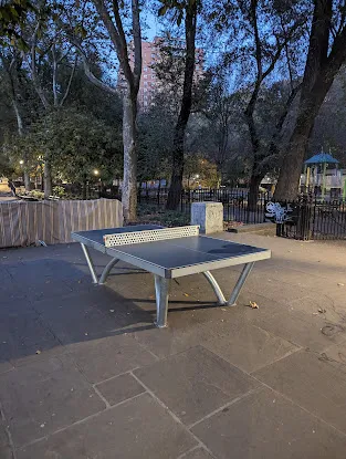 Ping Pong Table