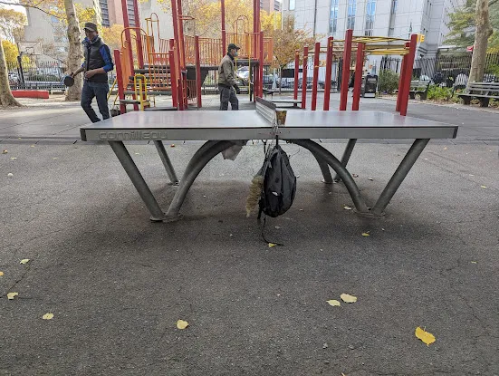 Ping Pong Table