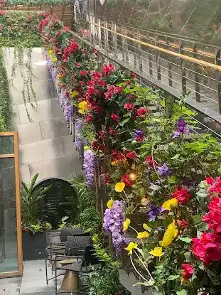Planting Generation