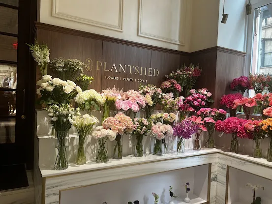 PlantShed at Kith Women