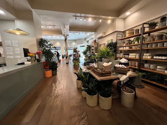 PlantShed Cafe