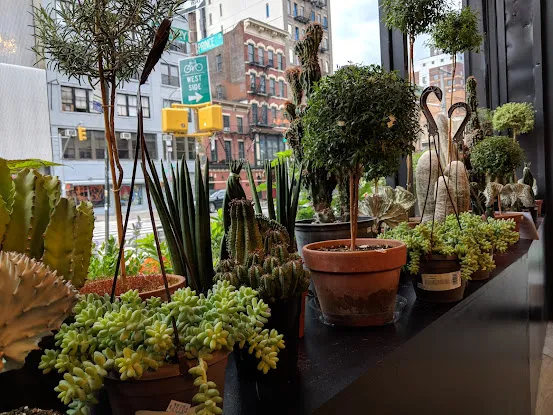 PlantShed