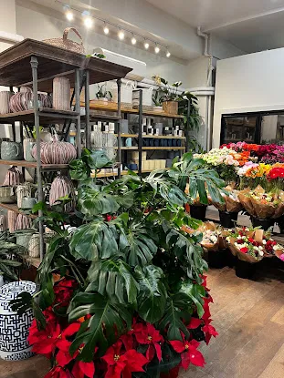 PlantShed