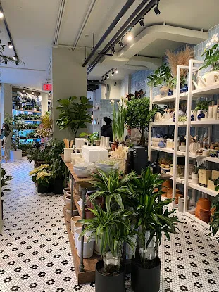 PlantShed