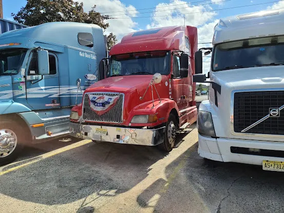 Platinum Transport