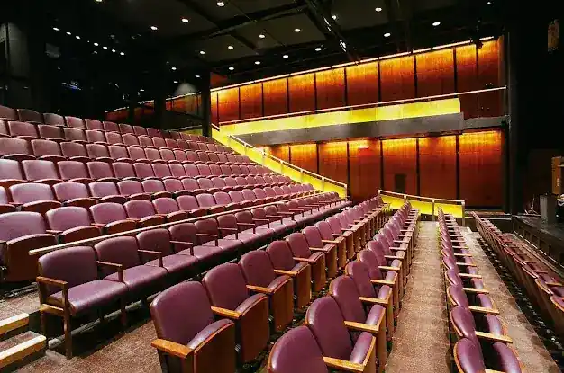 Playwrights Horizons