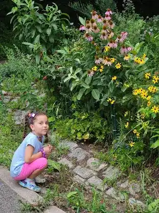 Pollinator Garden and Monarch Waystation