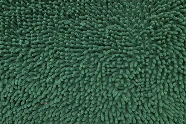 Polyester Rug & Carpet Cleaning