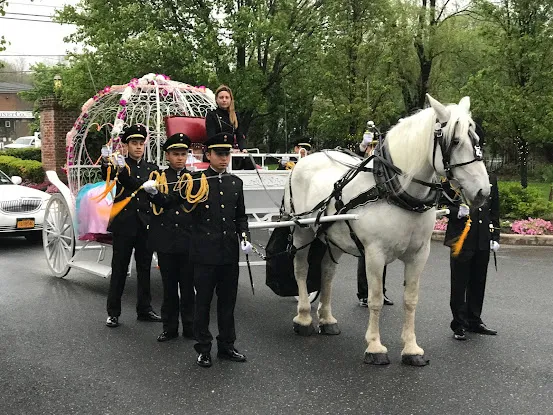 Ponies Will Travel