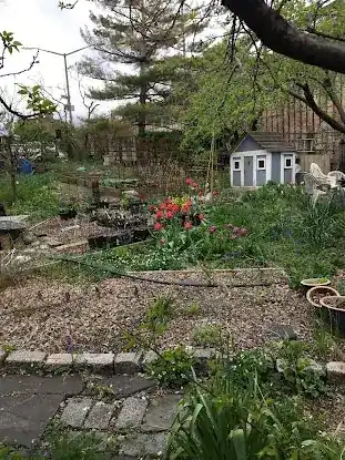 Poplar Street Community Garden