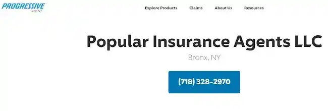 Popular Insurance Agents