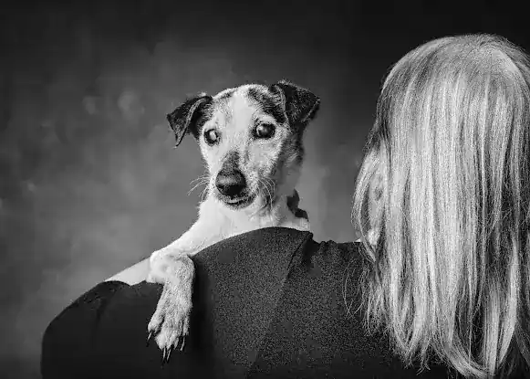 Portrait Club
