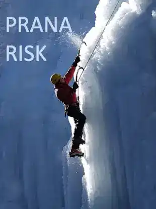 Prana Risk Insurance Brokers & Agents