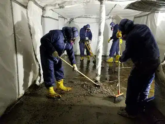 Prestige Development Services, Inc (Asbestos, Lead Paint and Mold Abatement)