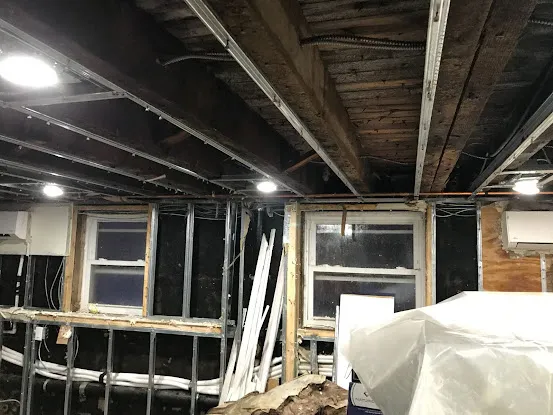 Prime Mold Removal