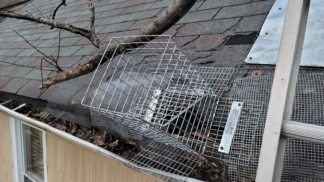 Private Exterminator