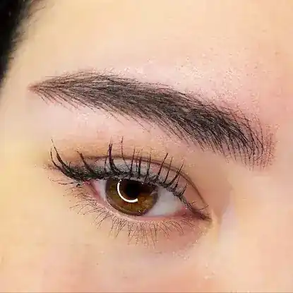 Professional Permanent Makeup by Vera Melnik
