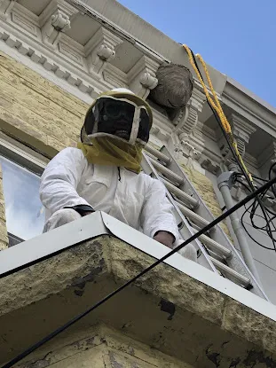 Professional Termite & Pest Control