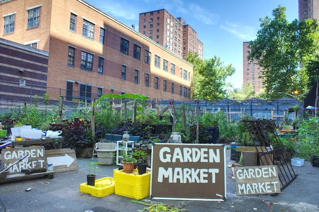 Project Eats Frederick Douglass Houses Farm