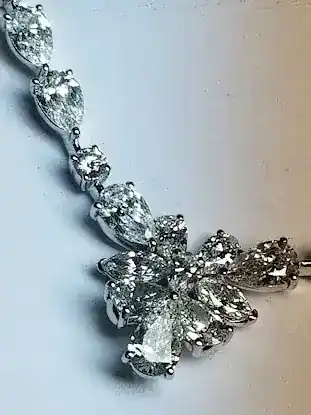 Project Platinum, Inc