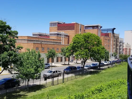 P.S. 23 - The New Children's School