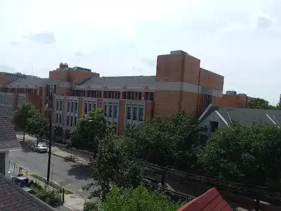 P.S. 291