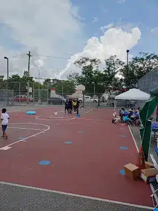 P.S. 66 Mini-Pitch