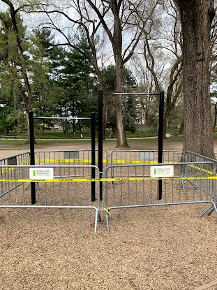 Pull-up Bars