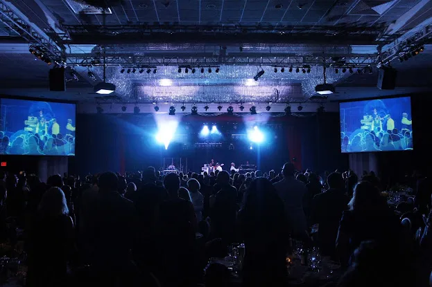 Pulse Stage Lighting LLC (TM)