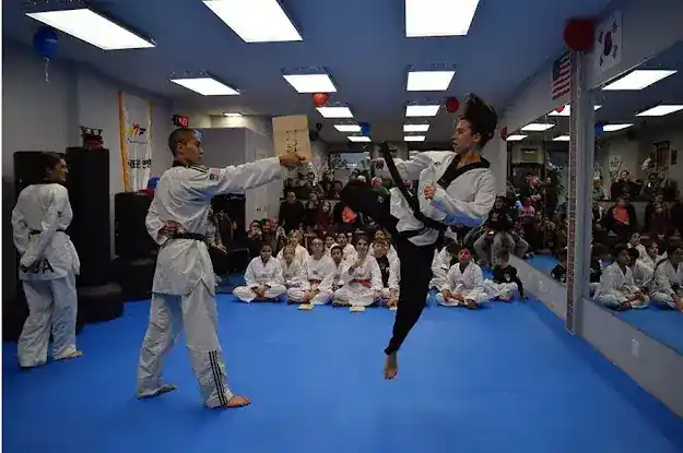 Pulse TaeKwondo Center
