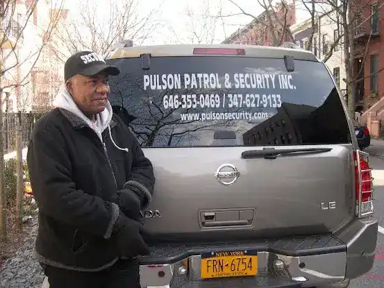 Pulson Security Group Inc.