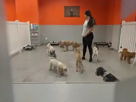 pupculture Tribeca