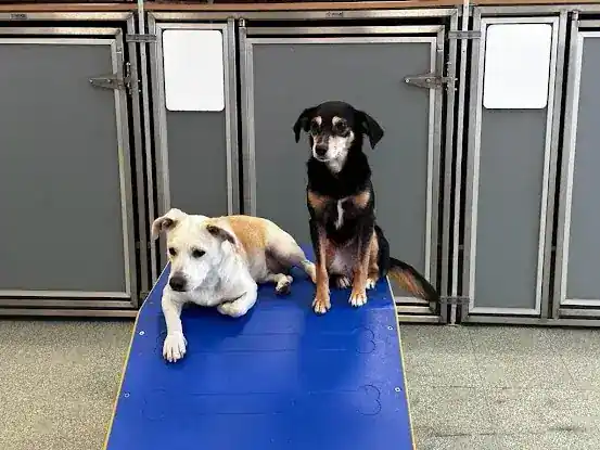 pupculture West 57th
