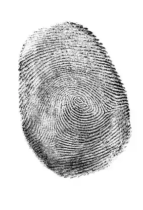 Queens Mobile Fingerprinting