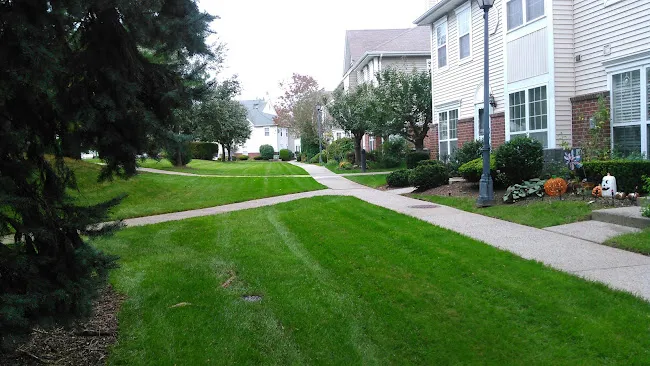 Raffiani's Automatic Sprinkler Service