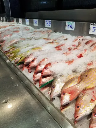 Rainbow Fish Market