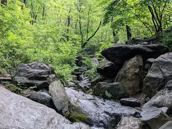 Ramble Rustic Bridges